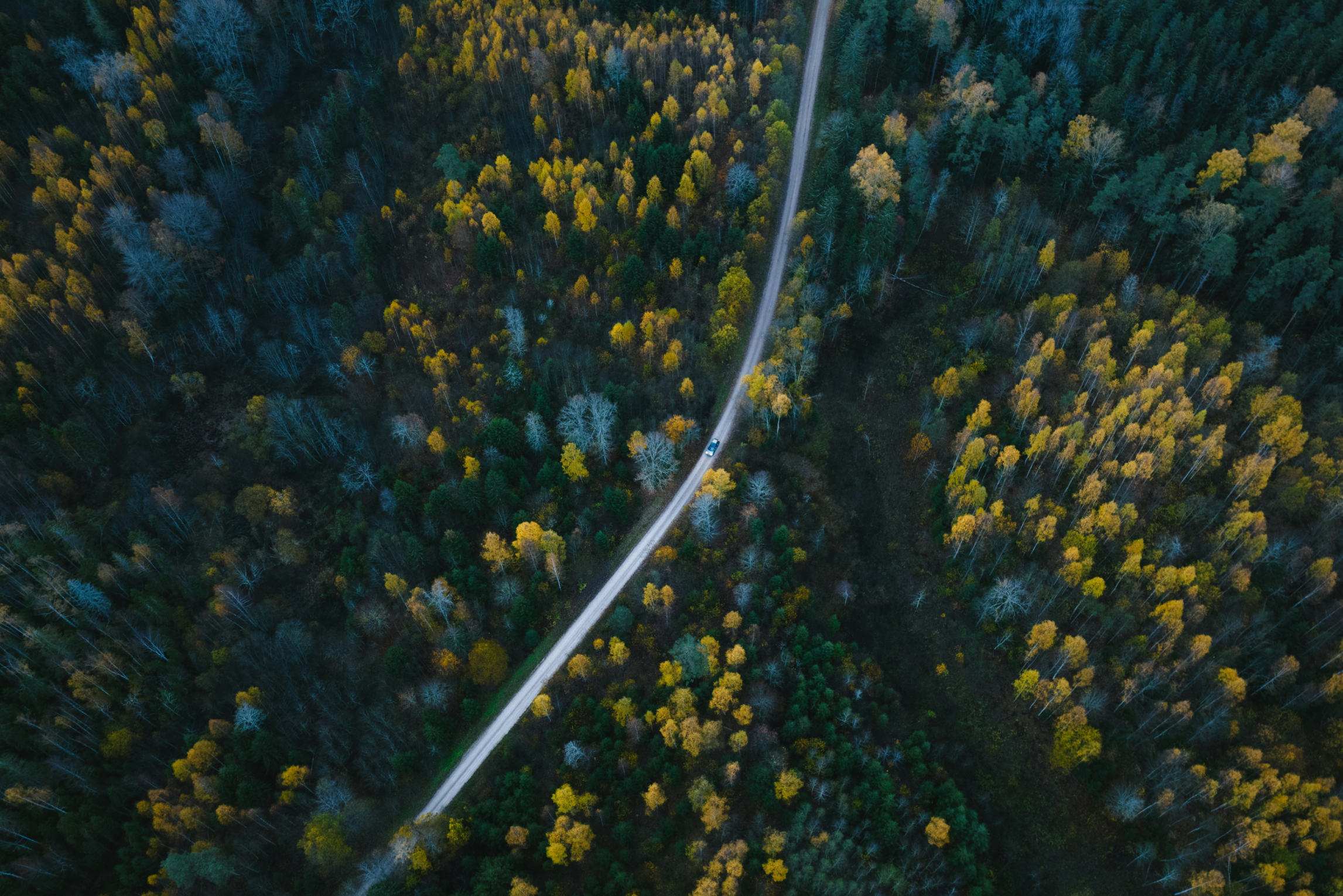 Skog och en landsväg uppifrån