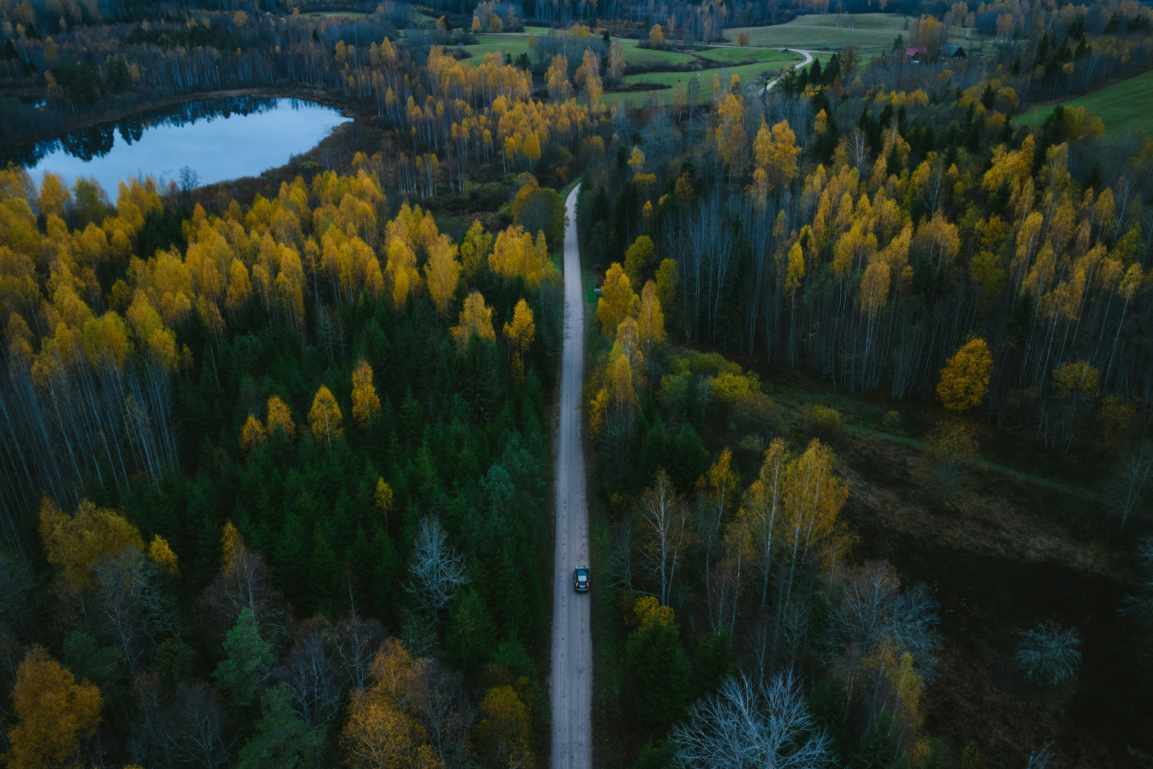 Drönabild över en väg och skog
